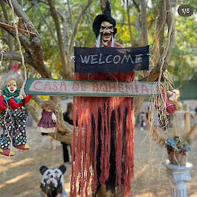 5 Çayında Buluşuyoruz !