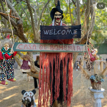 5 Çayında Buluşuyoruz !